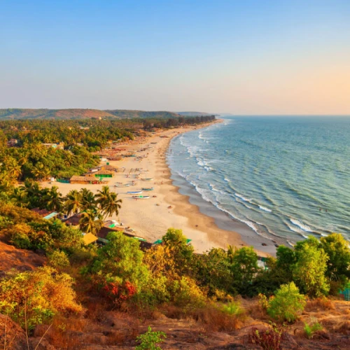 Goa